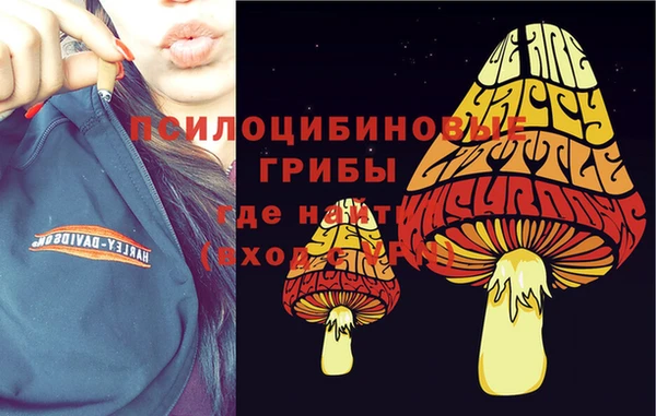 амфетамин Богородск