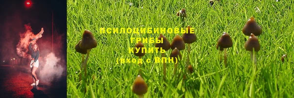 наркотики Белокуриха