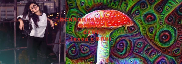 наркотики Белокуриха