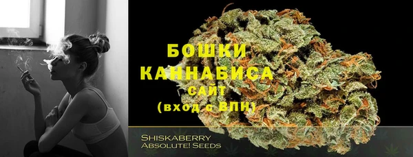 дживик Белоозёрский