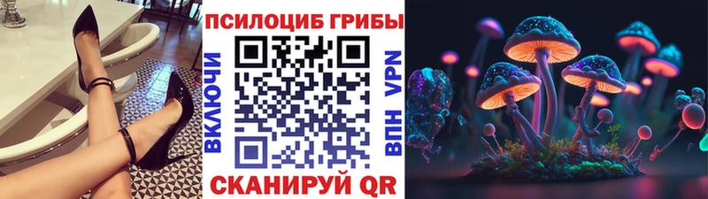 Псилоцибиновые грибы GOLDEN TEACHER  Клин 